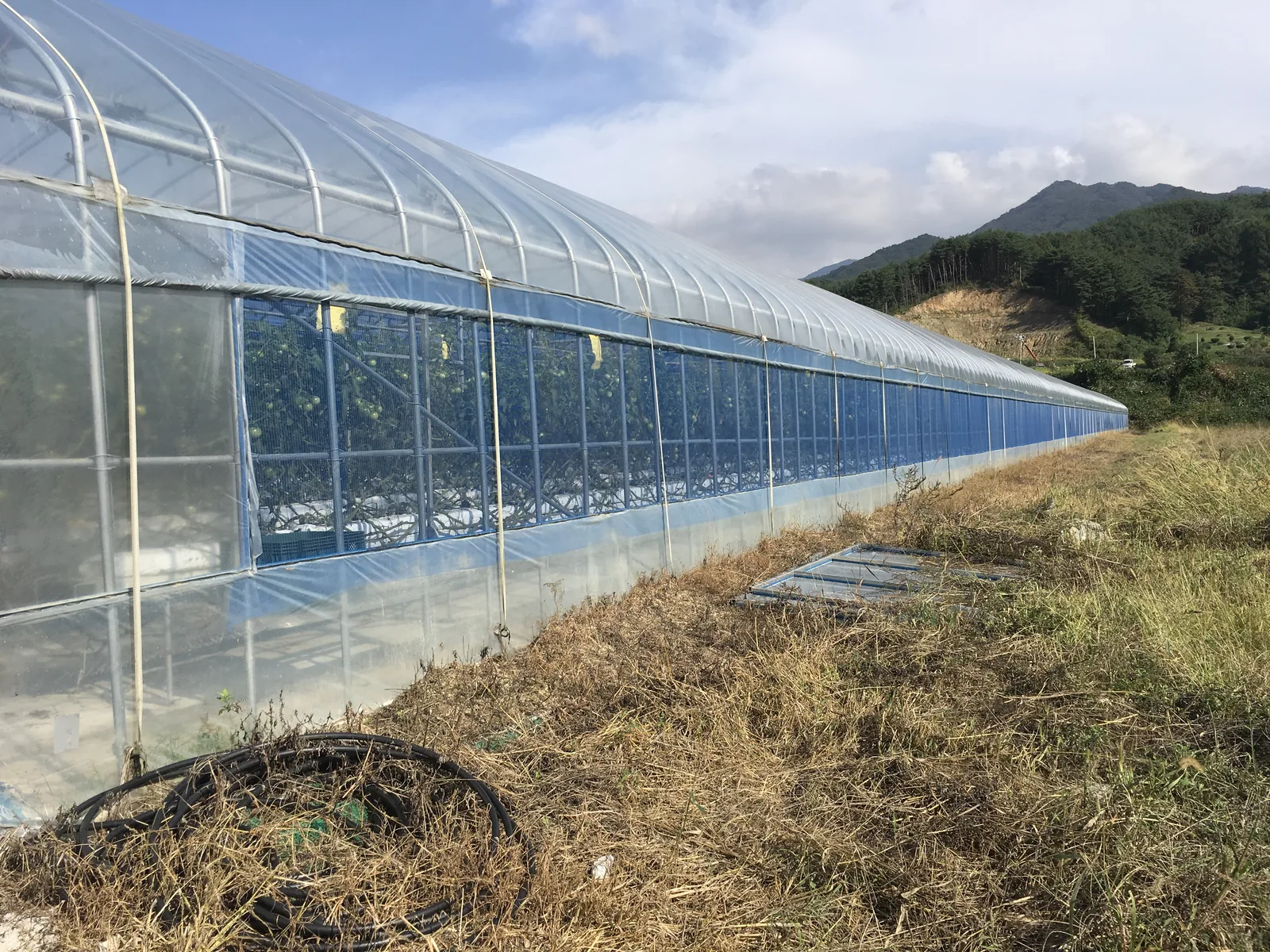 Real REGASA high tunnel project