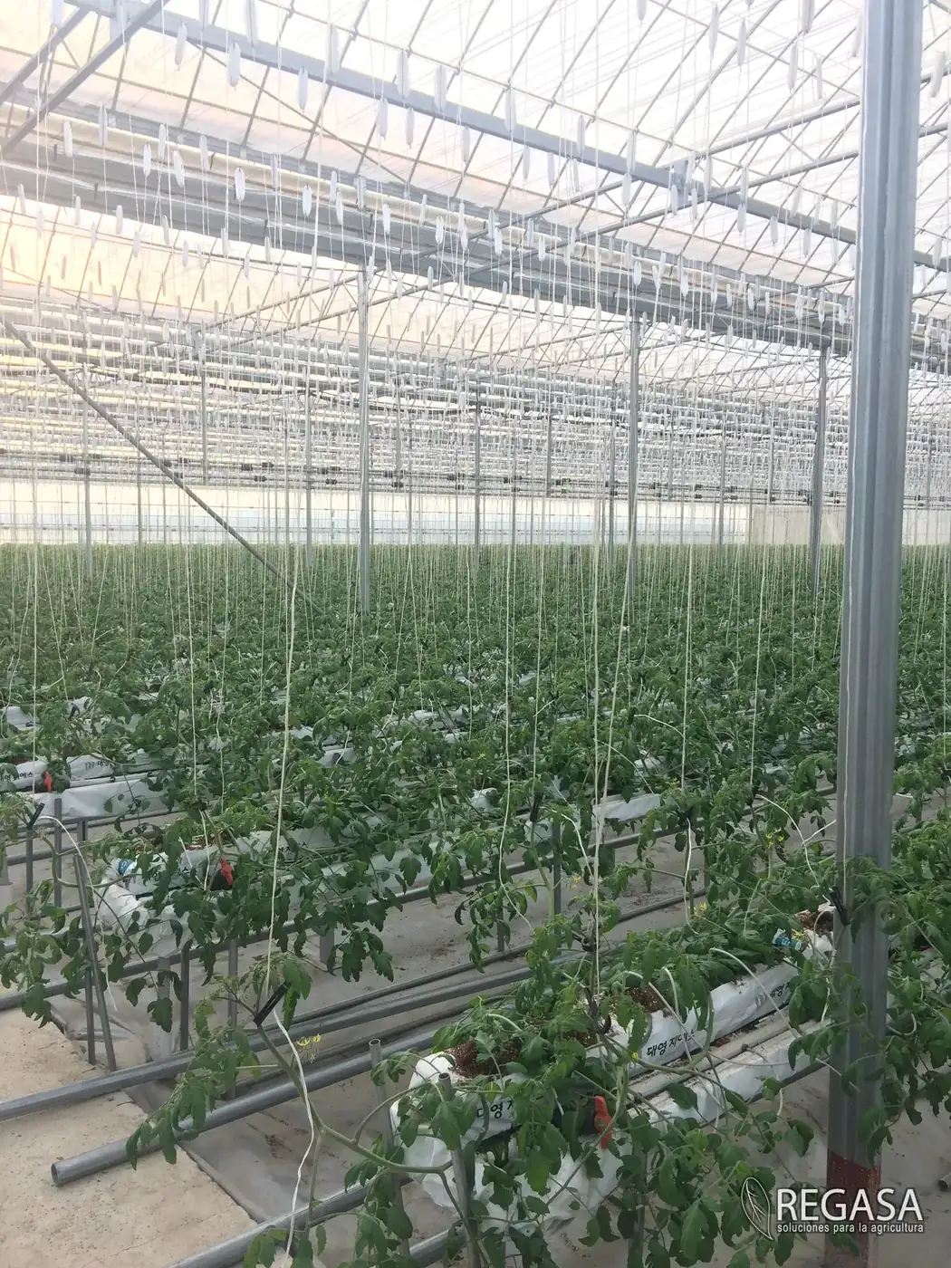 Is a Greenhouse a Good Investment? A Framework, Not a Number