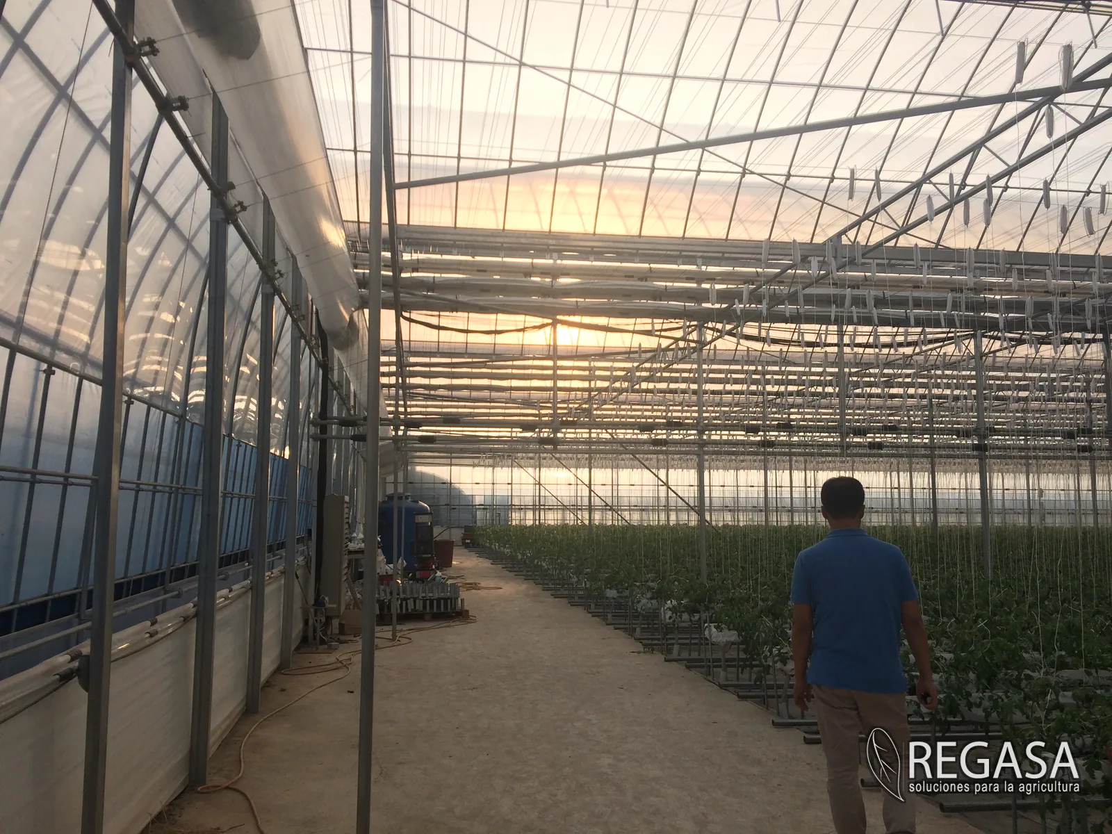 Commercial greenhouse for Florida growers