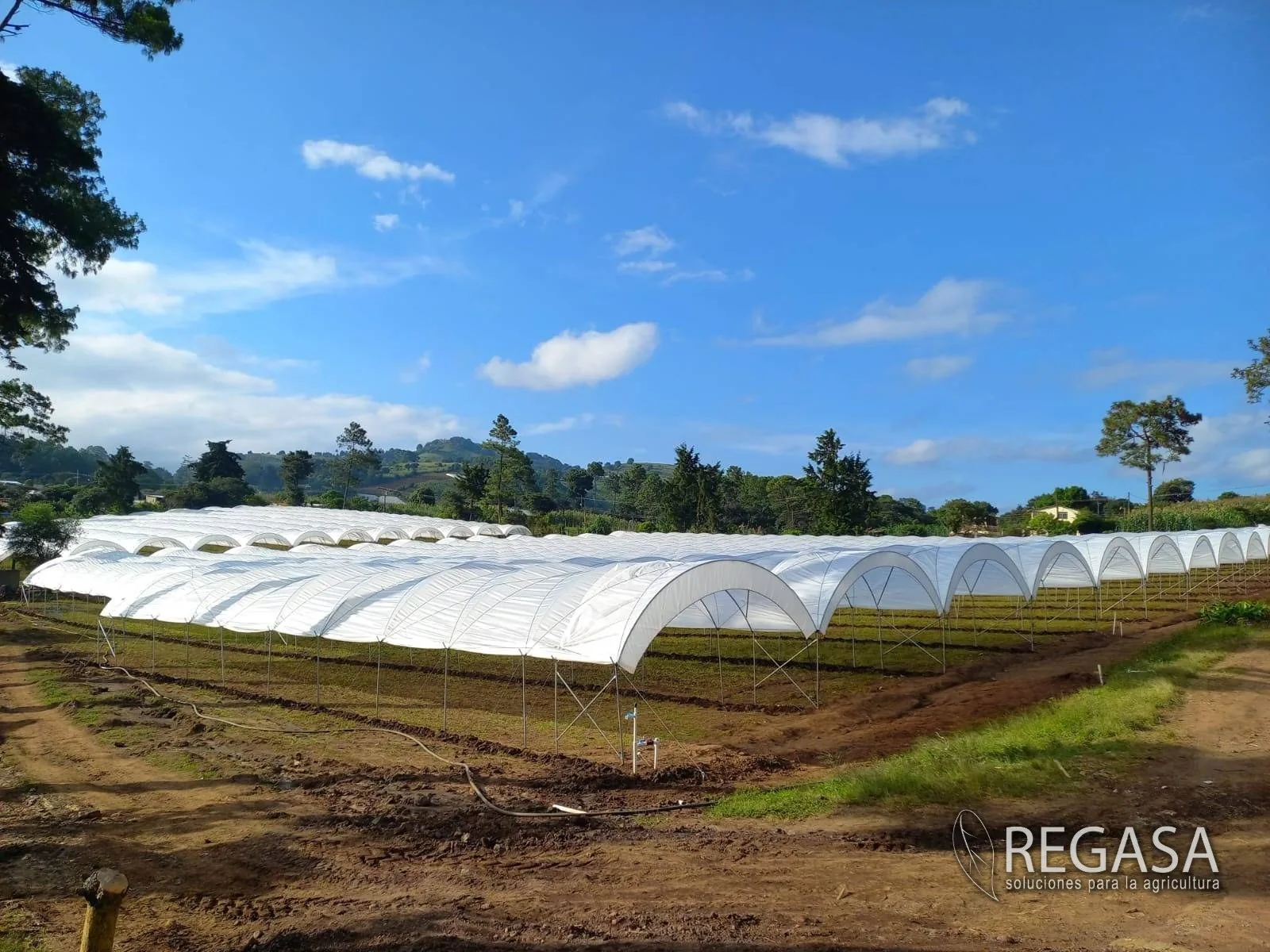 Macrotúneles REGASA de gran longitud instalados en campo