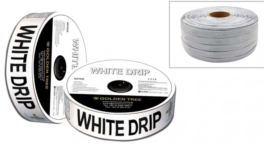 WhiteDrip