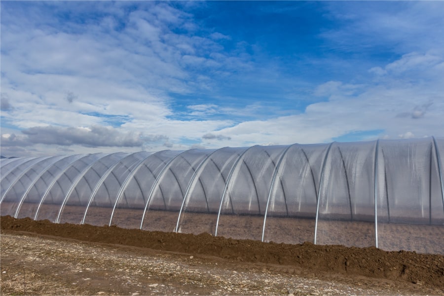 Cómo los plásticos para invernaderos están transformando la agricultura moderna.